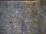 image of grave number 855122